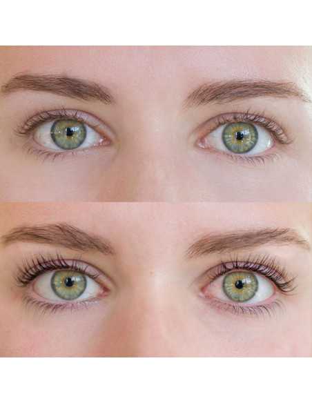 Wimpernlifting-Set 36 Refectocil-Anwendungen 
