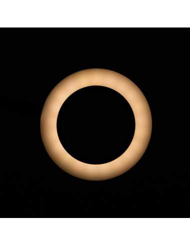 LED-Lupenleuchte Snake Ring für Schreibtisch Schwarz