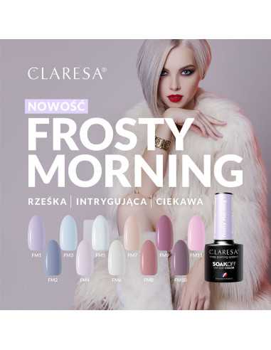 Vernis à ongles hybride CLARESA Frosty Morning 3 -5g 
