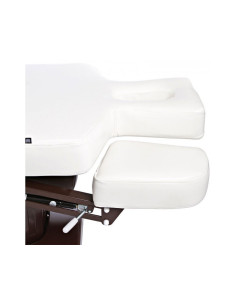 Mesa Spa Cinzia Brown 4 Motores 2