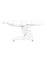 Aesthetic armchairs HZ-3878-H Alia electric aesthetic table with heating