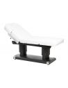 Massage Table HZ-3838 Qaus warm electric spa table