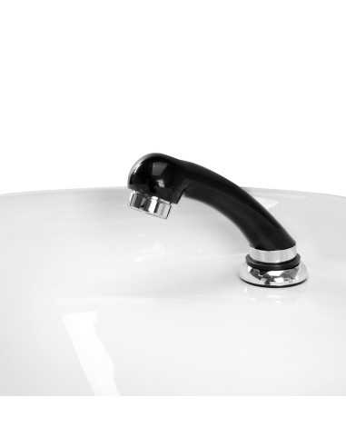 Hair System ZA31 black hair cleanser