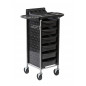 Coloring and storage hairdressing trolley-0004831