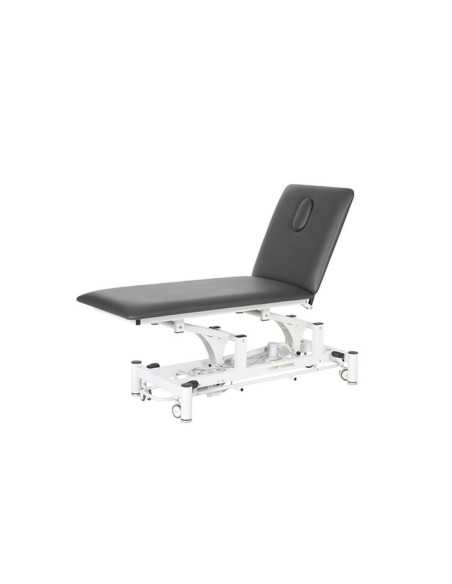 Mesa de fisioterapia EL02Noir Mesa de tratamento elétrico Watsu Preto