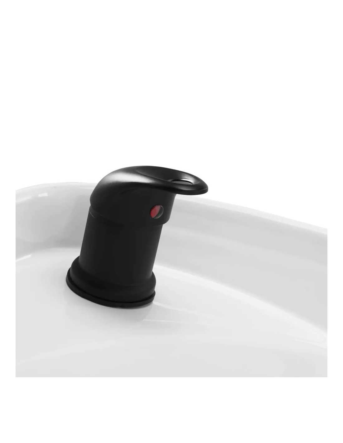 Shampoing capillaire bac a porto en noir et beige 