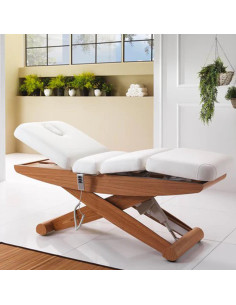 Livia 3-motor electric massage table 2
