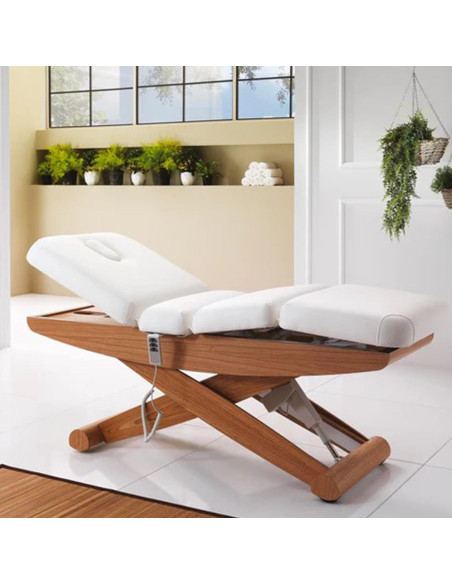 table de massage électrique livia 3 moteurs