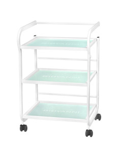 Table cosmétique type 1013 giovanni