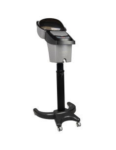 Silver hair steamer with active ozone