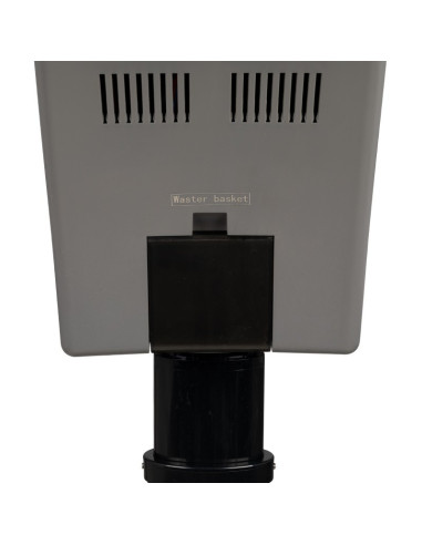 Silver hair steamer with active ozone