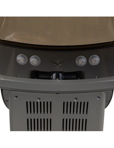 Silver hair steamer with active ozone