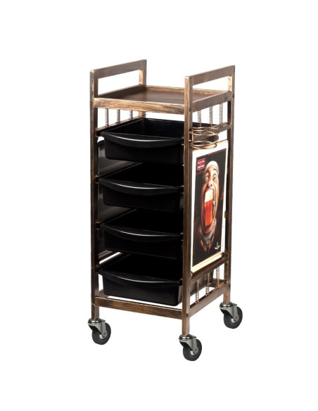 V15 hairdressing, coloring and storage trolley