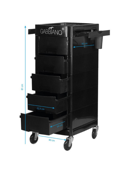 V19 Hairdressing, Coloring and Storage Trolley