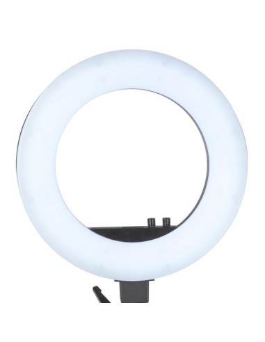 Professionelles Ringlicht 119781 18" 48W schwarzes LED-Ringlicht + Stativ