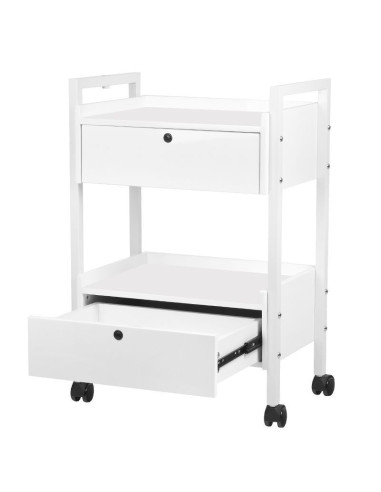 Cosmetic table type 1019