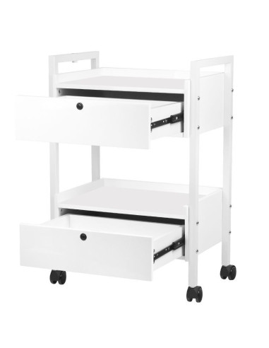 Cosmetic table type 1019