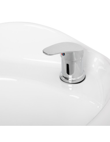 Professionele shampootray porto goud zwart 