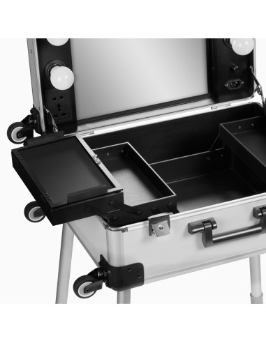 Valise trolley avec miroir et ampoules  t-27 argent