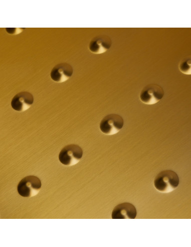 Gabbiano Diana Schwarzgold-Autowaschanlage