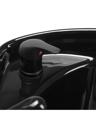 Lavagem de cabelo Prato dourado e preto