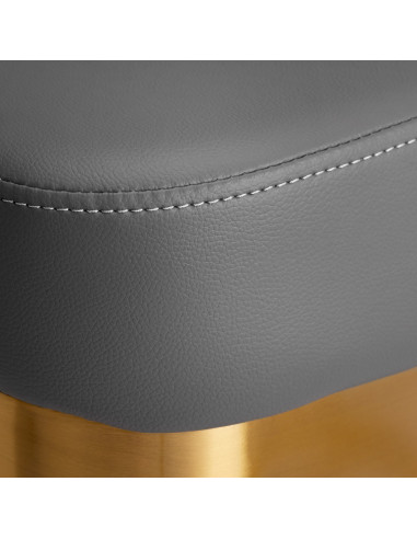 Sillón de peluquería Gabbiano Granada oro gris 