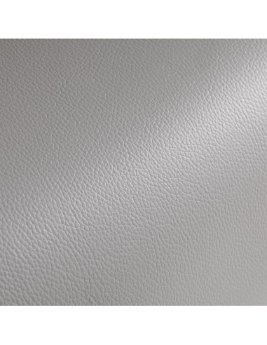 Fauteuil de coiffure gris Gabbiano Burgos 