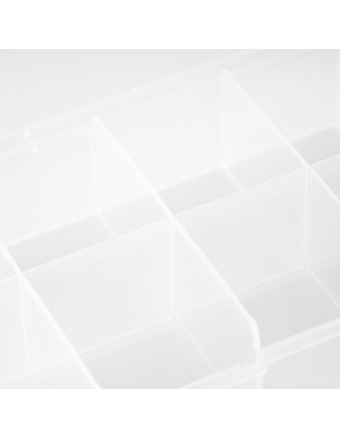 C45 Kleiner Produkt-Organizerbehälter