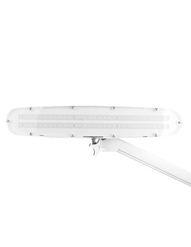 Elegante 801-s LED workshop lamp with standard white vice