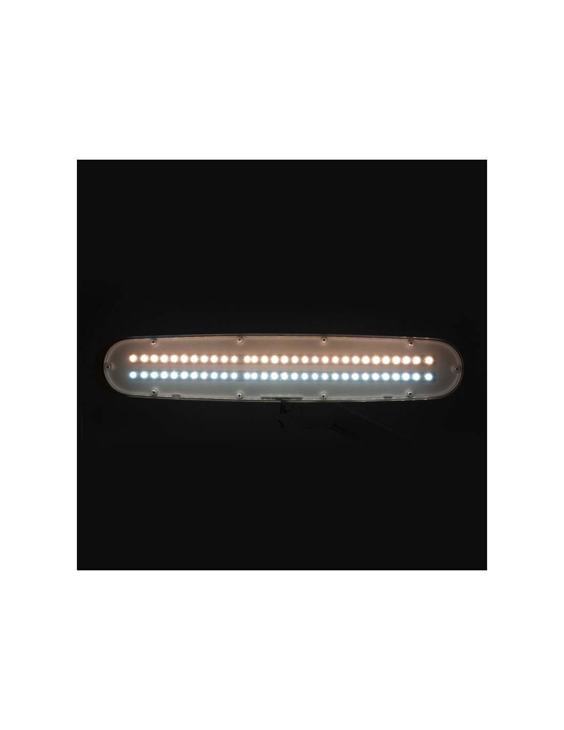 Lampe d'atelier LED elegante 801-TL avec étau intensité et couleur de la lumière blanche 