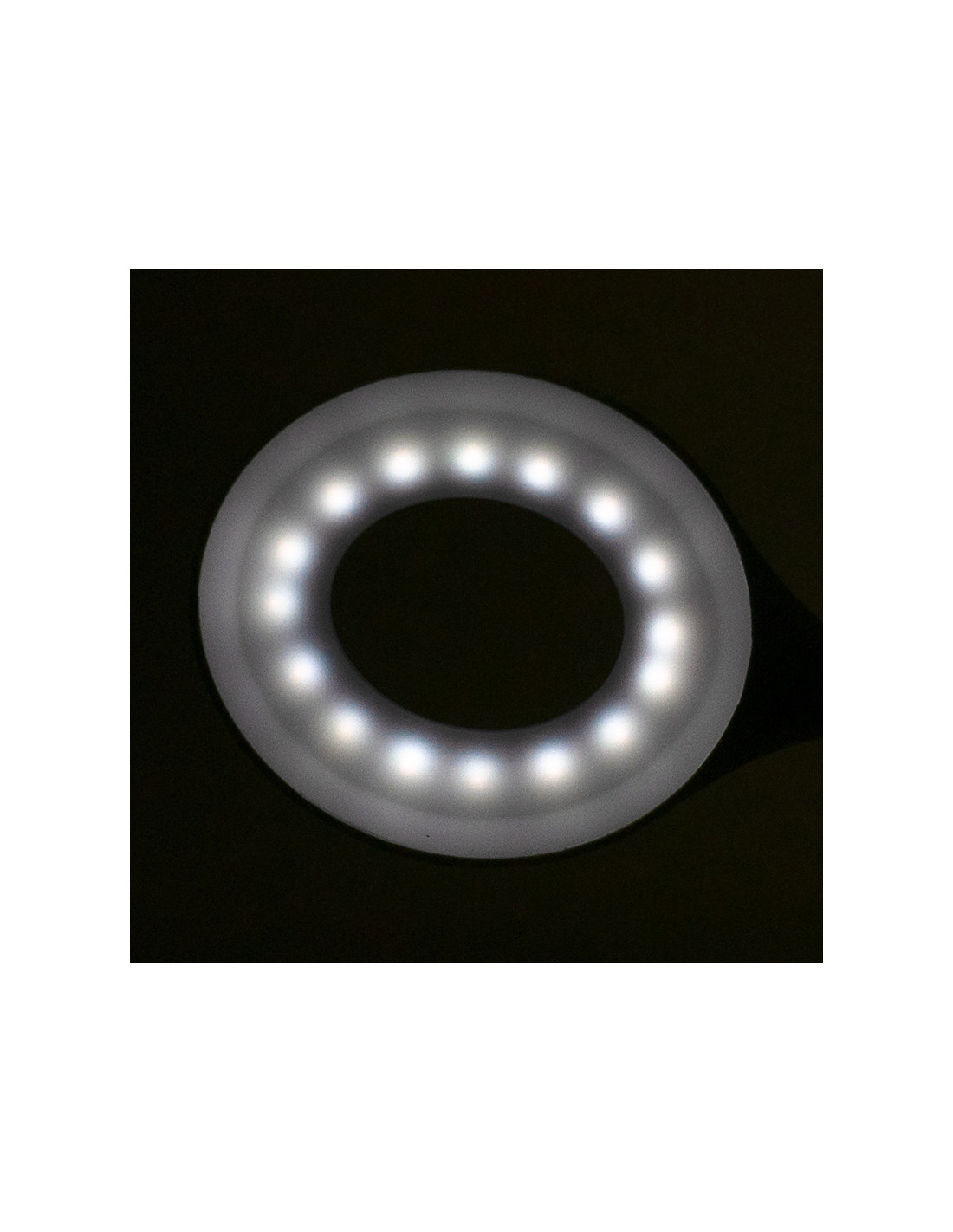 LED Snake Ring Light on White Desk