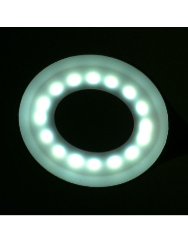 Anillo de luz LED con forma de serpiente sobre un escritorio blanco