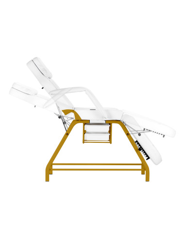 Chaise cosmétique 557G avec cuvettes or blanc