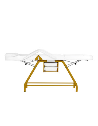 Sillón cosmético 557G con cubetas oro blanco