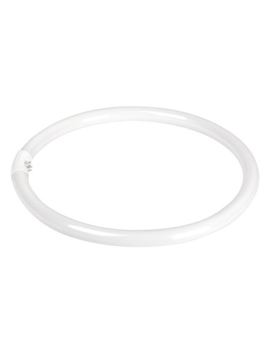 Lampadina (lampada fluorescente) per la lampada Ring 12' 35W