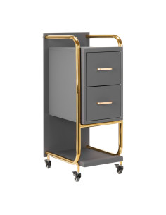 Gabbiano Solo hairdressing trolley gold - gray