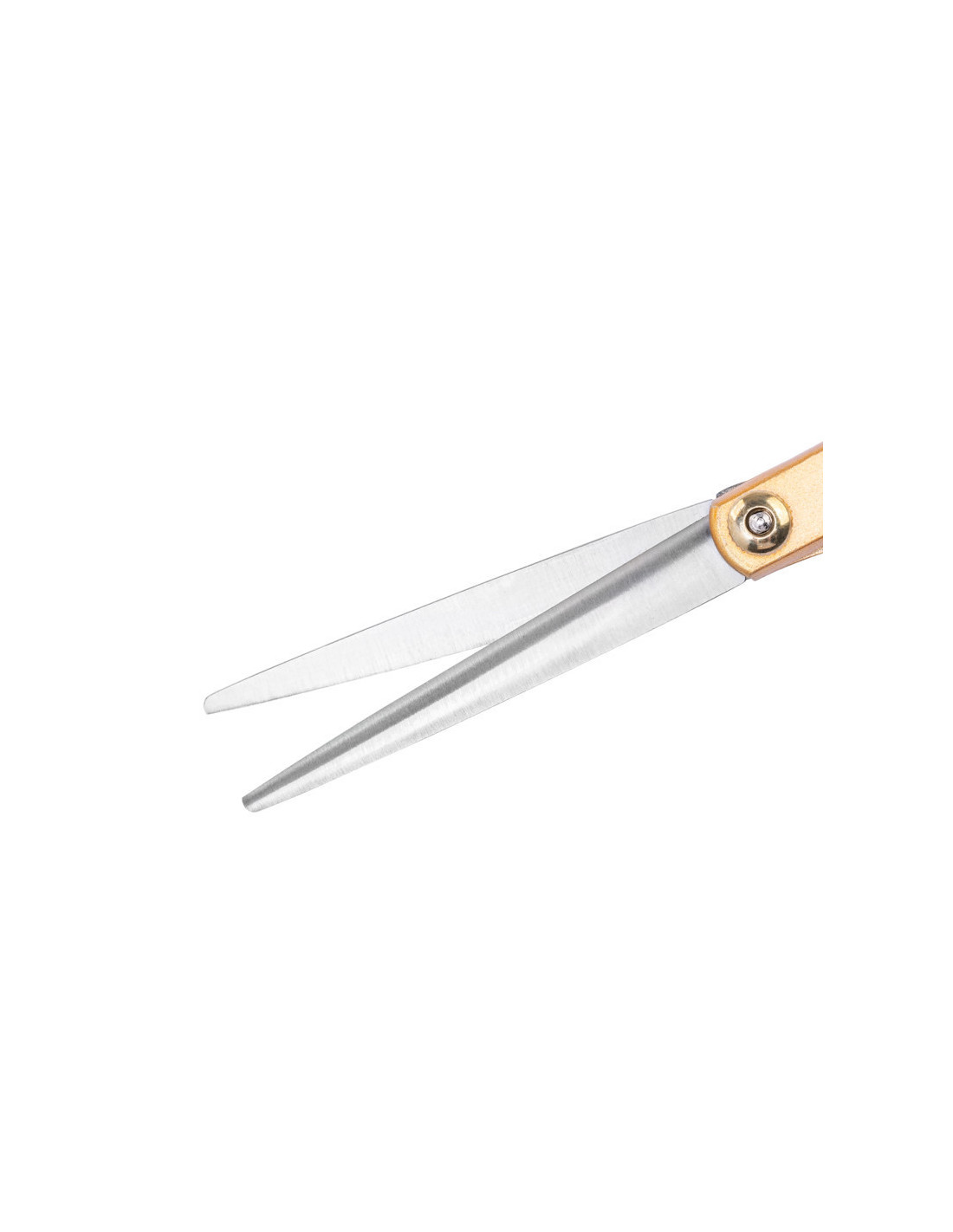 Ciseaux de coiffure Snippex 6.0 or 