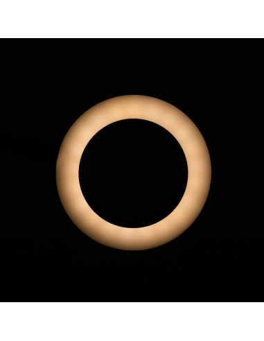 LED Magnifying Lamp Snake Ring for Desk Black