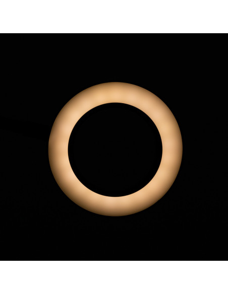 Lampe loupe LED anneau serpent pour le bureau noir 