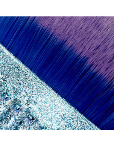 Brosse de collecte de poussière de coquille