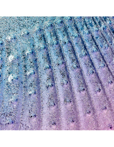 Brosse de collecte de poussière de coquille 