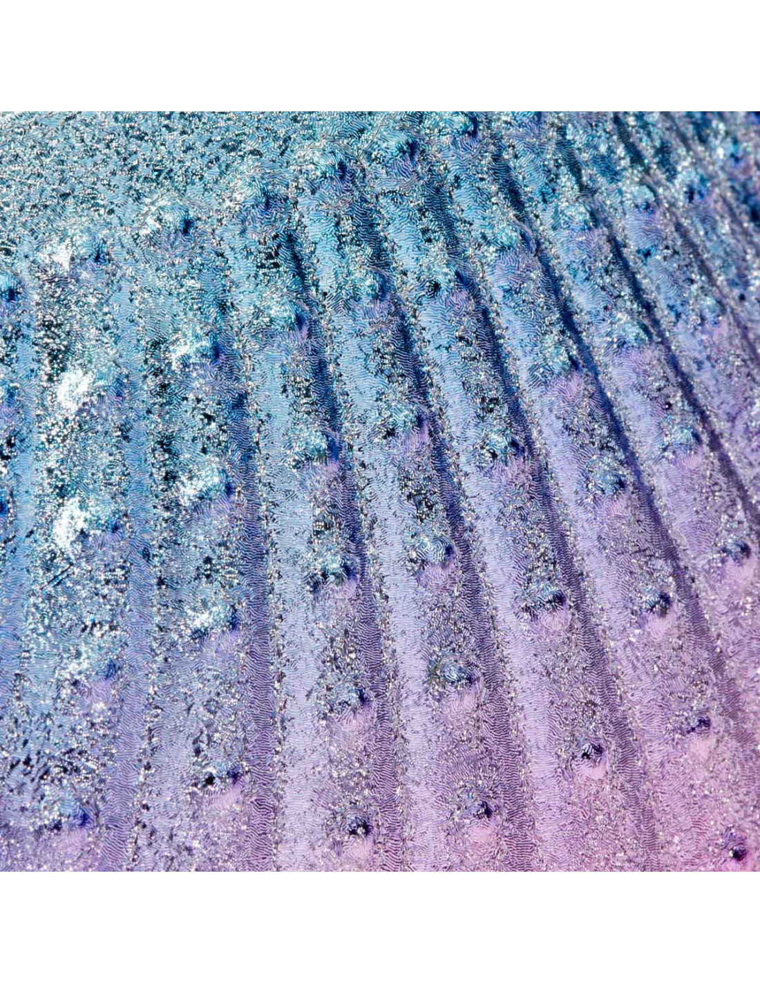 Spazzola per la raccolta della polvere di conchiglia