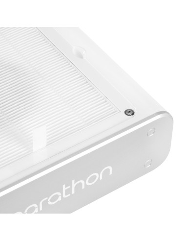 Saeyang pochłaniacz pyłu Maratón 65W 