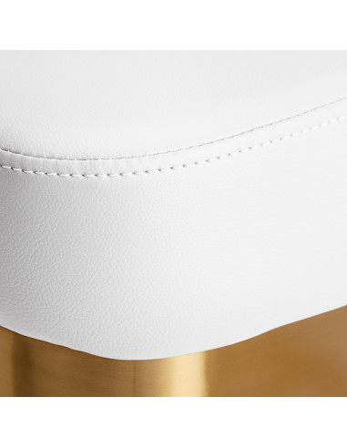 Gabbiano Granada White Gold Hairdressing Chair {attributes}