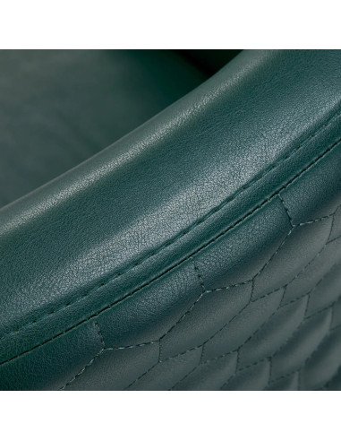  Fauteuil de coiffure versal vert bouteille or 