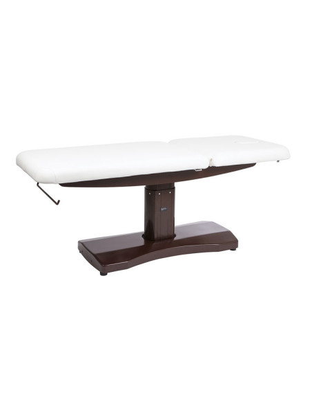Serena 2-motor wooden electric table