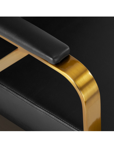 Gabbiano Genoa Gold Black Hairdressing Chair {attributes}