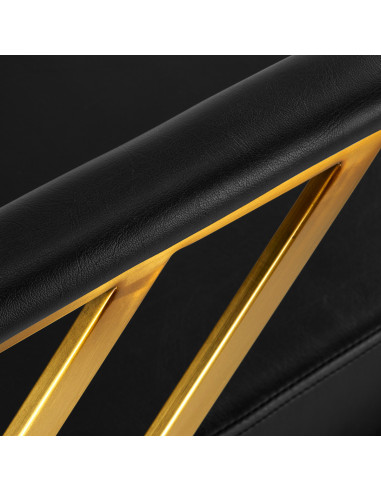 Gabbiano Genoa Gold Black Hairdressing Chair {attributes}