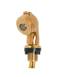 Pommeau de douche doré