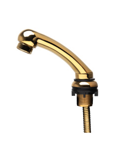 Petit combiné de lavage de voiture de coiffure doré